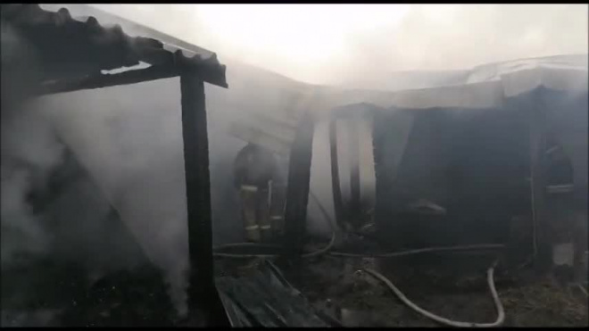 В Екатеринбурге в пожаре на конюшне погибли 12 лошадей