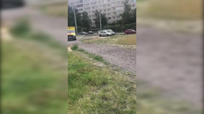 На Будапештской улице прорвало трубу с горячей водой