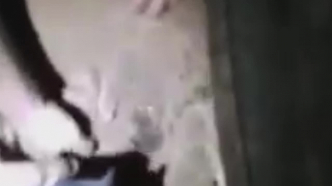 Видео из Бразилии: Похороненный заживо новорожденный пробыл под землей 8 часов и выжил (18+)