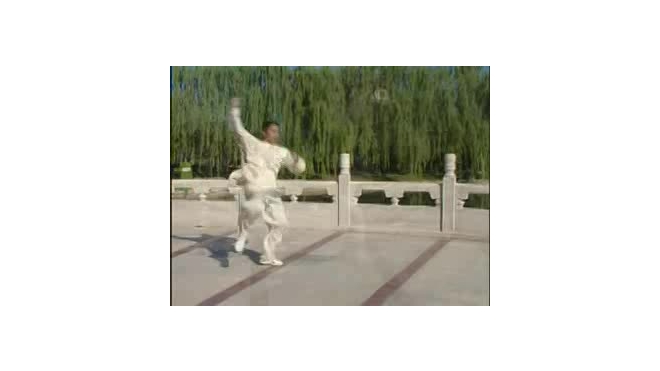 56 form tai chi