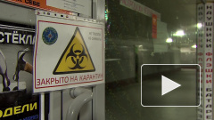 В Москве за сутки выявлено 536 новых зараженных коронавирусом