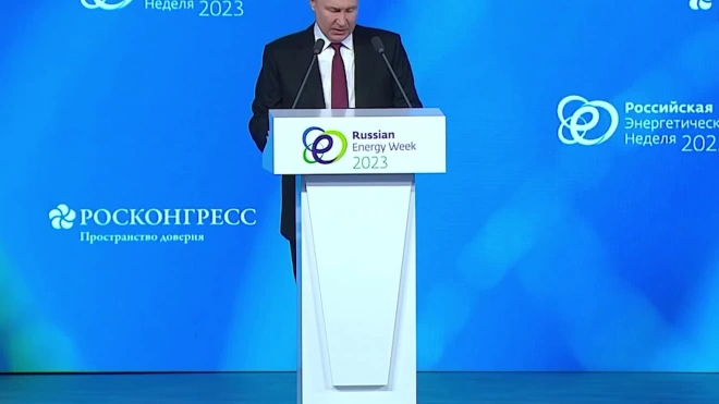 Путин указал на важность обеспечения стабильности цен на электроэнергию и топливо