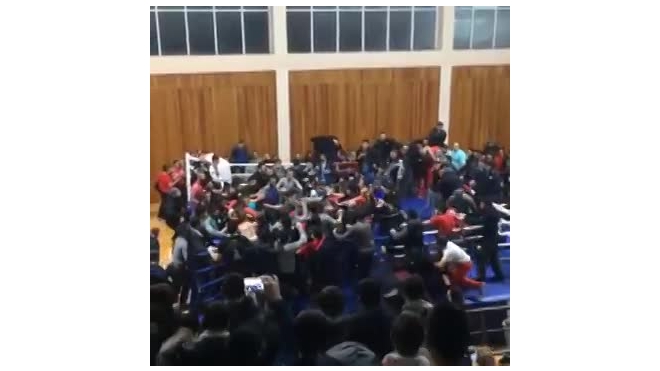 Массовая потасовка на ринге болельщиков на чемпионате по ММА в Дагестане попала на видео