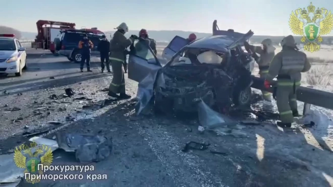 В Приморском крае две иномарки столкнулись на трассе, есть погибшие