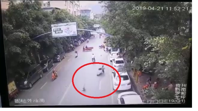 Видео: в Китае гусь упал с дерева и сбил мотоциклистку 