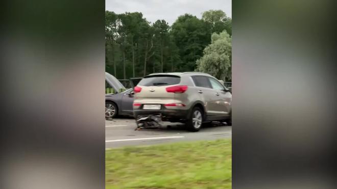 Видео: ДТП на Приморском проспект собрало огромную пробку