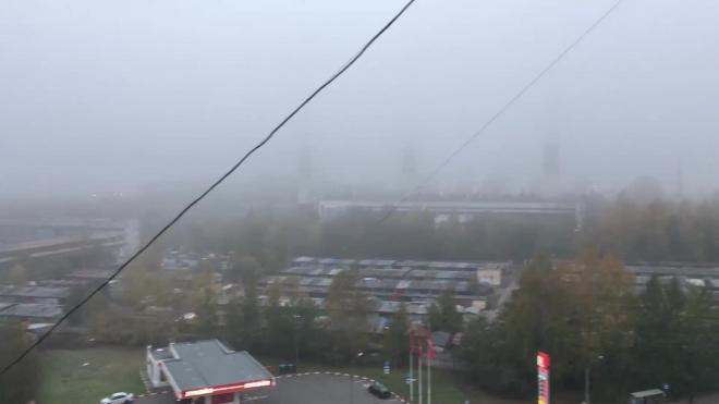 С утра Петербург накрыл густой туман