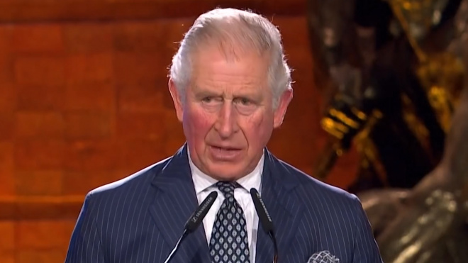 Британские СМИ: У Принца Чарльза обнаружили коронавирус