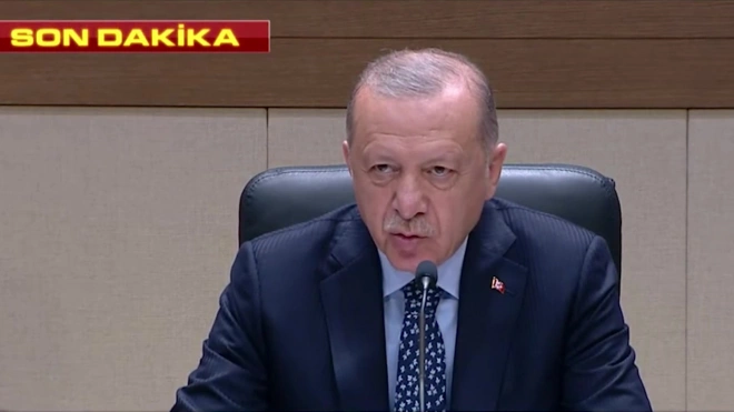 Эрдоган: талибы* предложили Турции заниматься управлением аэропорта Кабула