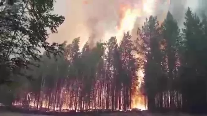 На окраине Югорска загорелся лес