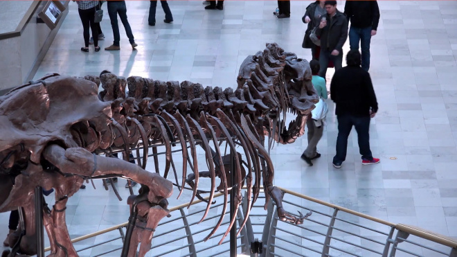 Ученые нашли объяснение гибели динозавров