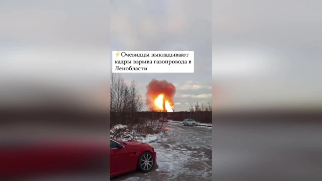Стала известна предварительная причина крупного пожара во Всеволожском районе 