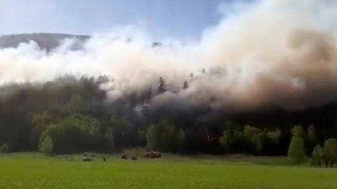 На Камчатке тушат пожар площадью 750 гектаров вблизи крупного села