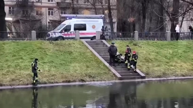 Из Черной речки достали человеческую ногу