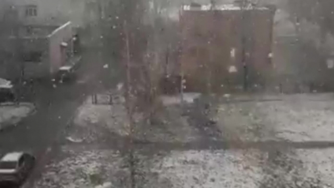 Петербуржцы выкладывают фото и видео с майским снегом