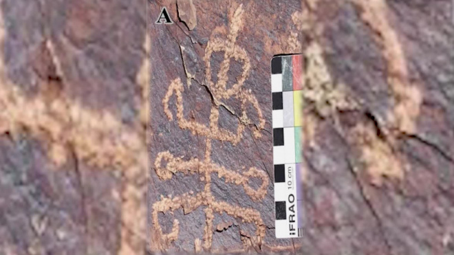 Древний петроглиф с изображением богомола обнаружен в Иране