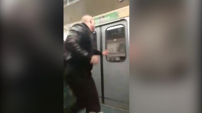 В Петербурге задержали хулигана за разбитое стекло в метро 