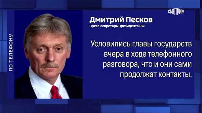 Песков: Путин и Трамп поручили помощникам немедленно начать проработку встречи