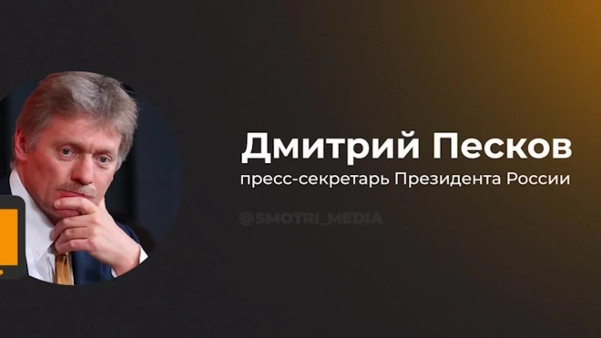 Песков: ситуацию в районе Днепра в зоне СВО могут комментировать только военные