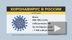 В России за сутки зарегистрировано 7176 новых случаев заражения коронавирусом