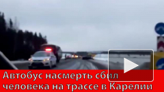 Автобус насмерть сбил человека на трассе в Карелии