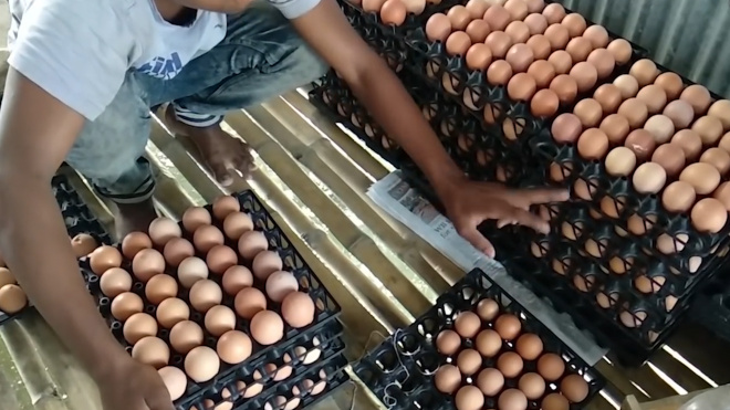 В Минздраве опровергли данные о чрезмерном потреблении россиянами яиц