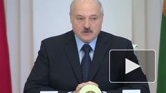В Кремле рассказали детали разговора Путина и Лукашенко 