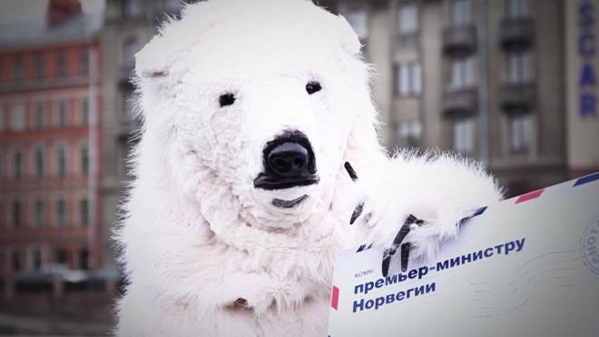 Белого медведя видели утром в центре Петербурга