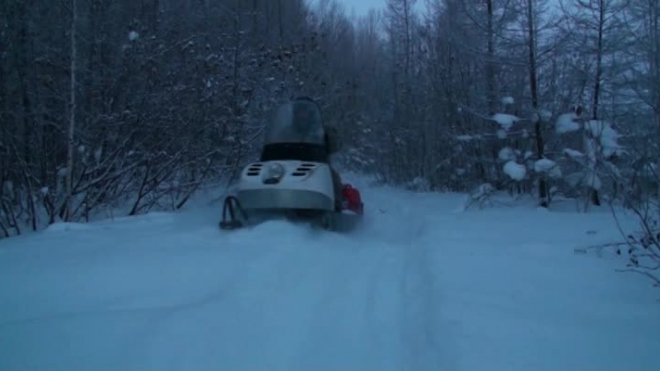 поездка на буранах в лес