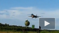 Птица сбила в Карелии истребитель Су-27