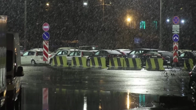 В Петербурге за ночь выпало 8 мм снега
