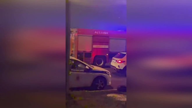 На улице Коллонтай полиция привела водителя на место аварии после попытки скрыться