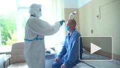 В России завершились испытания первой в мире вакцины от коронавируса 
