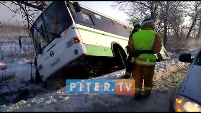 Видео: спасатели достают автобус, улетевший в кювет на Московском шоссе 