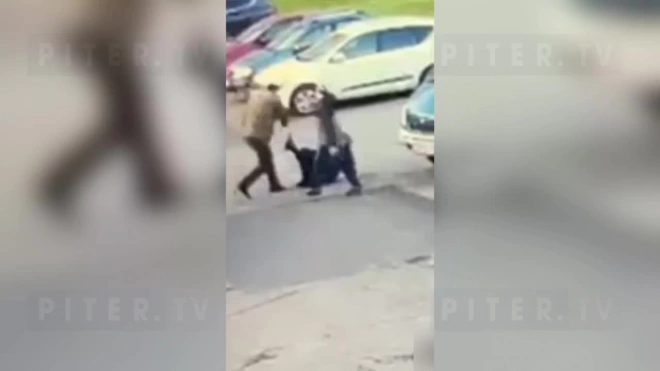 Задержан петербуржец, ударивший женщину на Ленинском проспекте