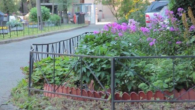 Изуродованный труп женщины с проломленным черепом нашли во дворе дома на Лавочника