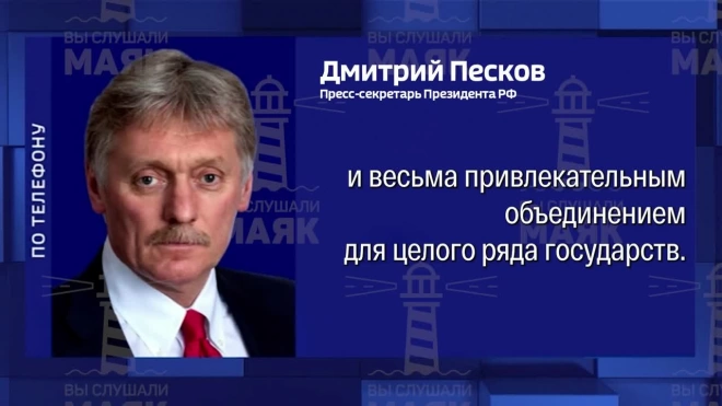 Песков рассказал, почему на Западе боятся БРИКС