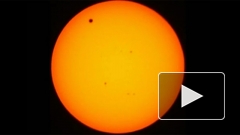 Земляне могли наблюдать прохождение Венеры через диск Солнца
