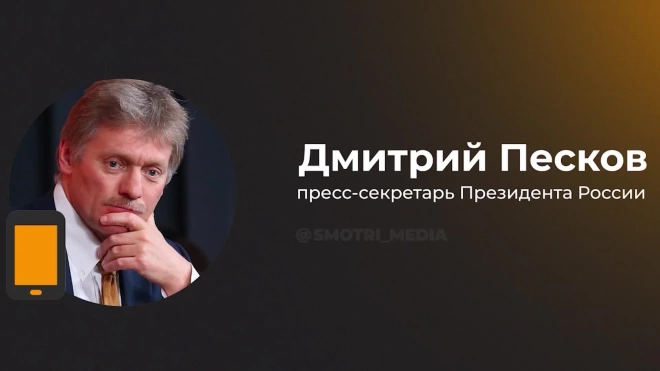 Песков: награды не влияют на размер выплаты раненым участникам СВО