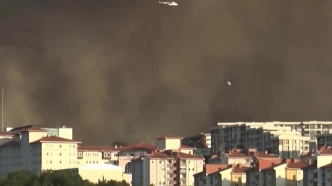 Порядка 2,7 тыс. человек задействованы в тушении крупного природного пожара на западе Турции