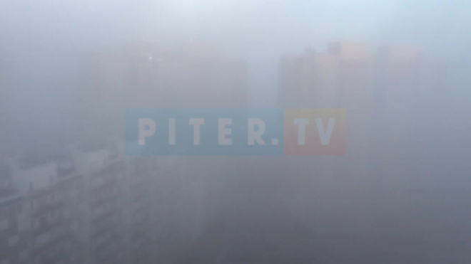 Видео: утром Санкт-Петербург накрыл туман