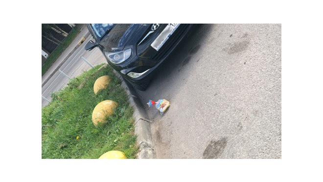 Пакет с замороженной курицей упал с небес на лобовуху Hyundai в Петербурге