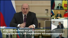 Правительство РФ: на портале госуслуг будут отображаться результаты экспресс-тестов