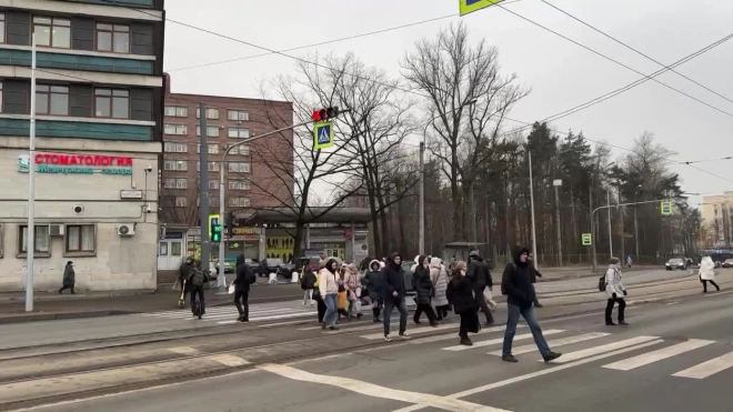 На Политехнической улице началась реконструкция наружного освещения