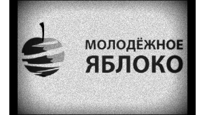 Молодежное «Яблоко» поддержало Резника самороспуском