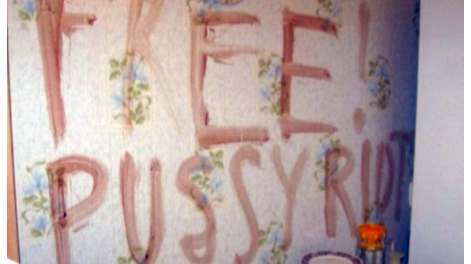 Видео: Free Pussy Riot кровью на стене