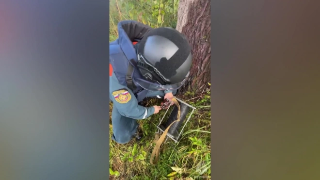 Авиабомбу времен ВОВ нашли во Всеволожском районе и уничтожили