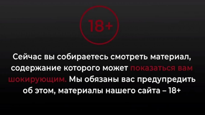 Появилось видео, как на строителя упала корзина с кирпичами в Петербурге