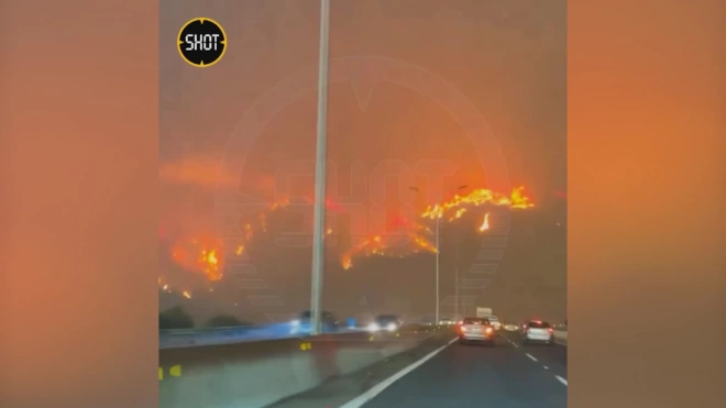 В Чили из-за лесных пожаров погибли 46 человек