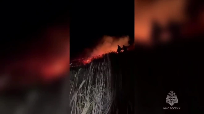 Пожарные ликвидировали крупный пал сухой травы на острове Рейнеке